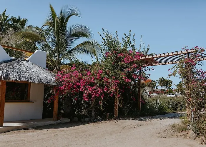 Villa Gardenia - Oceanfront Casa Mango W Pool